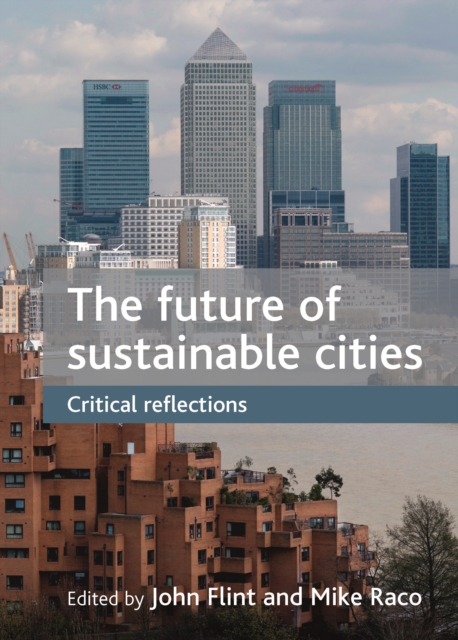 The future of sustainable cities : Critical reflections, PDF eBook