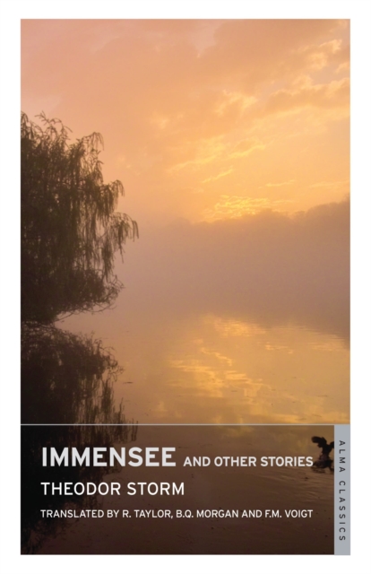 Immensee and Other Stories, Paperback / softback Book