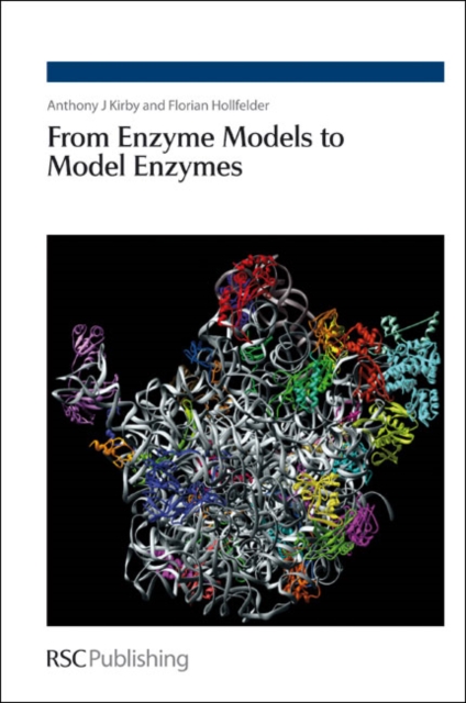 From Enzyme Models to Model Enzymes, PDF eBook