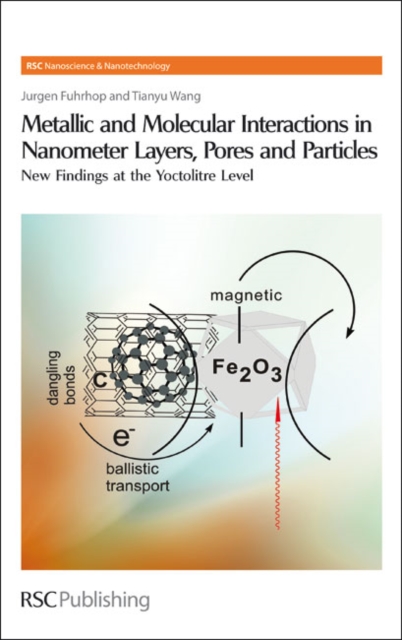 Metallic and Molecular Interactions in Nanometer Layers, Pores and Particles : New Findings at the Yoctolitre Level, PDF eBook