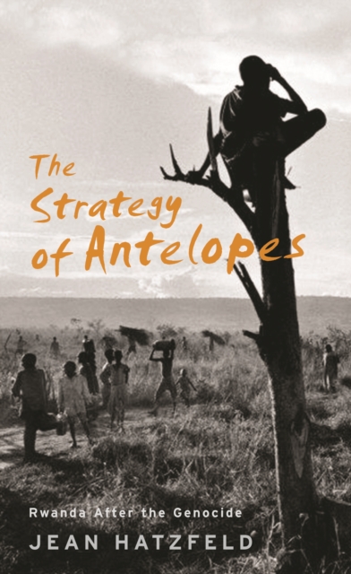 The Strategy Of Antelopes : Rwanda After the Genocide, EPUB eBook