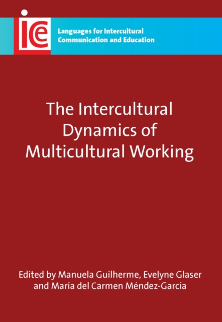 The Intercultural Dynamics of Multicultural Working, EPUB eBook