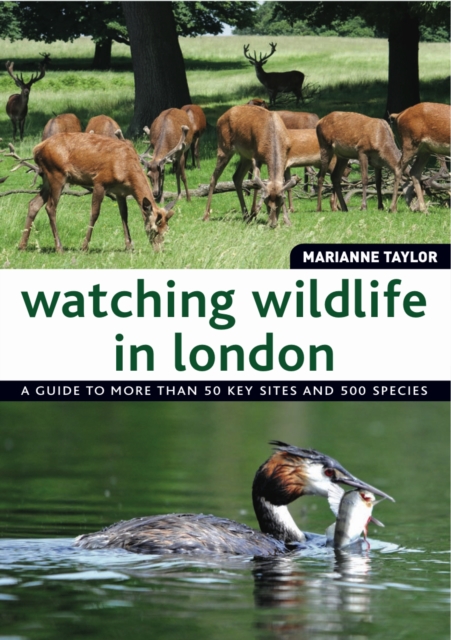 Watching Wildlife in London, Paperback / softback Book