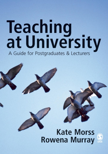 Teaching at University : A Guide for Postgraduates and Researchers, PDF eBook