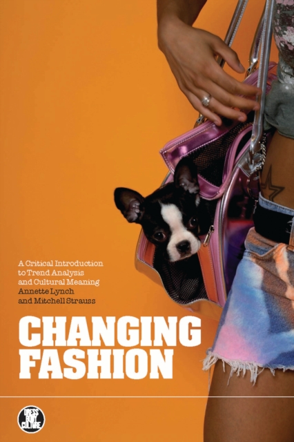 Changing Fashion : A Critical Introduction to Trend Analysis and Meaning, EPUB eBook