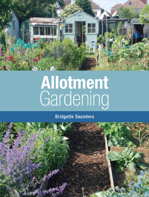 Allotment Gardening, Paperback / softback Book