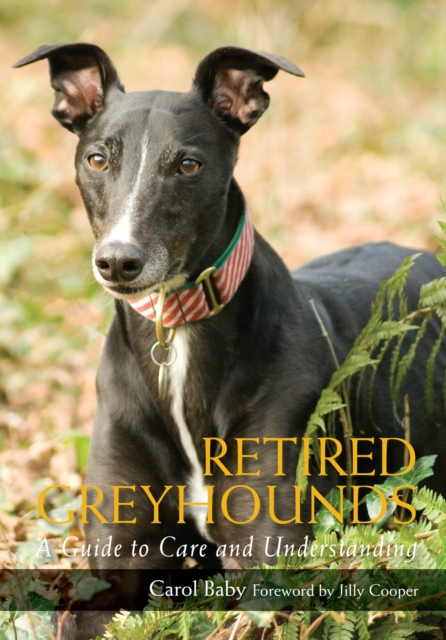 Retired Greyhounds : A Guide to Care and Understanding, Paperback / softback Book