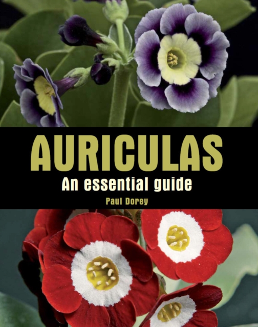 Auriculas : An Essential Guide, Hardback Book