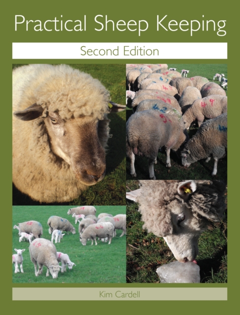 Practical Sheep Keeping, Paperback / softback Book