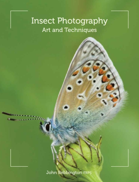 Insect Photography : Art and Techniques, Paperback / softback Book