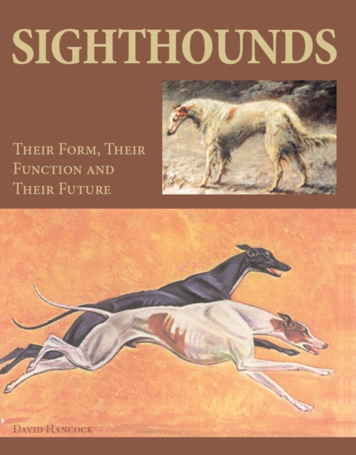 Sighthounds : Their Form, Their Function and Their Future, Hardback Book