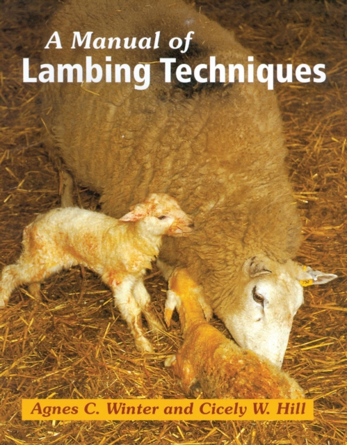 Manual of Lambing Techniques, EPUB eBook