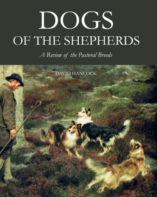 Dogs of the Shepherds : A Review of the Pastoral Breeds, Hardback Book
