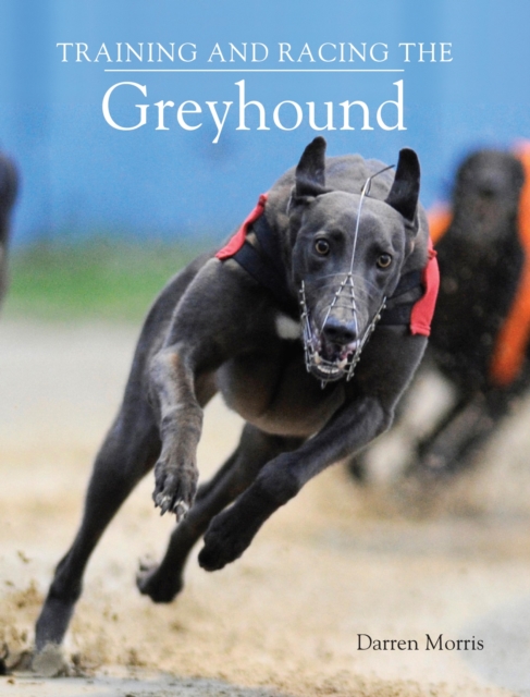 Training and Racing the Greyhound, EPUB eBook
