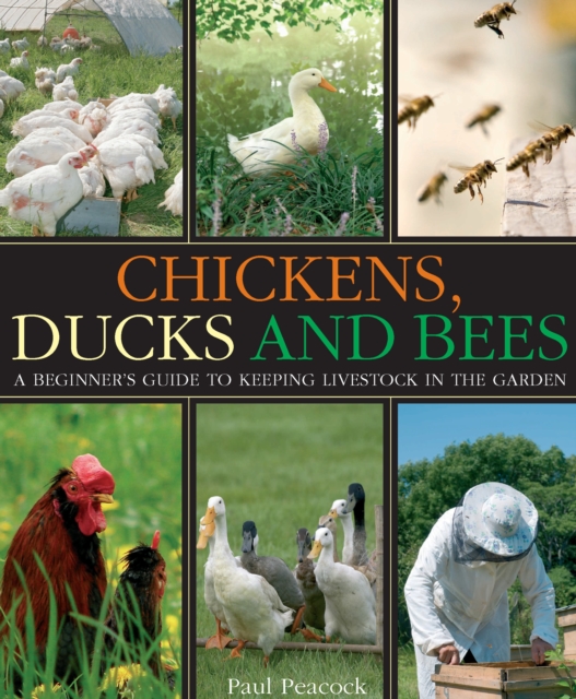 Chickens, Ducks and Bees : A beginner's guide to keeping livestock in the garden, EPUB eBook