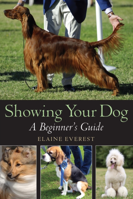 Showing Your Dog : A beginner's Guide, EPUB eBook