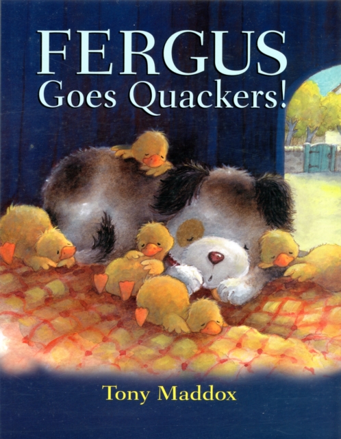 Fergus Goes Quackers, Paperback / softback Book