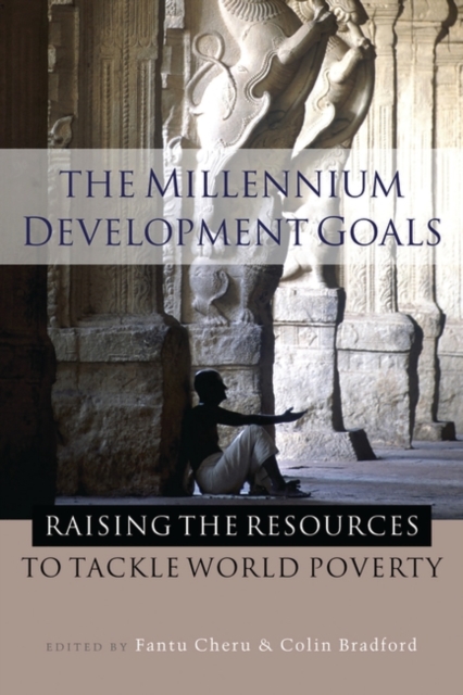 The Millennium Development Goals : Raising the Resources to Tackle World Poverty, PDF eBook