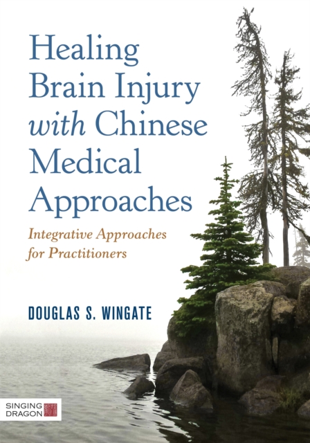 Healing Brain Injury with Chinese Medical Approaches : Integrative Approaches for Practitioners, Hardback Book
