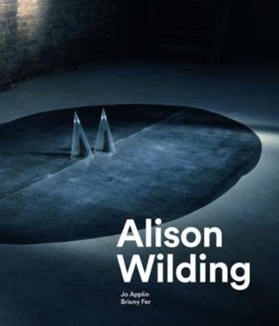 Alison Wilding, Hardback Book