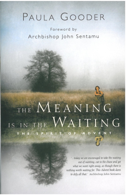 The Meaning is in the Waiting : The Spirit of Advent, EPUB eBook