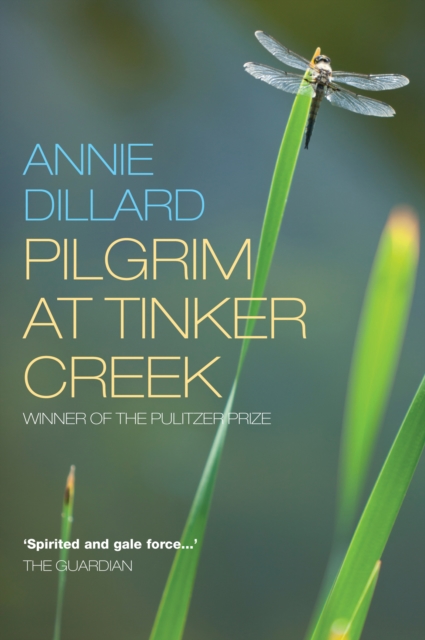 Pilgrim at Tinker Creek, EPUB eBook