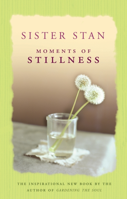 Moments of Stillness, Paperback / softback Book
