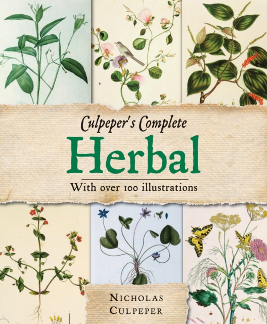 Culpepers Herbal, Paperback / softback Book
