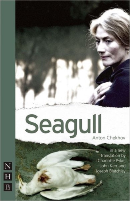 Seagull, Paperback / softback Book