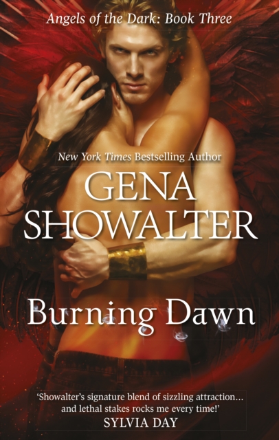 Burning Dawn, Paperback / softback Book