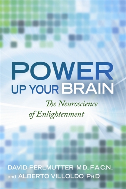 Power Up Your Brain : The Neuroscience of Enlightenment, Paperback / softback Book