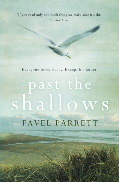 Past the Shallows, Paperback / softback Book