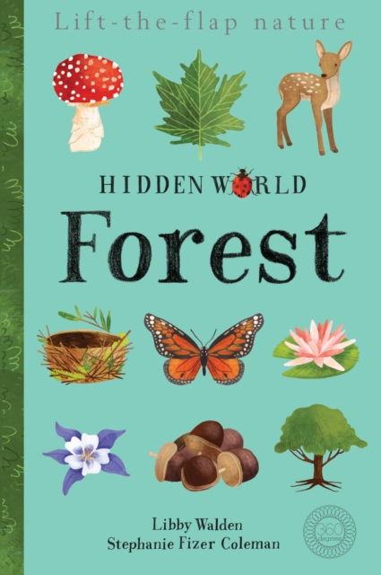 Hidden World: Forest, Novelty book Book