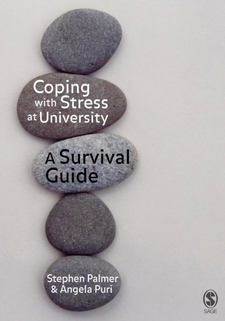 Coping with Stress at University : A Survival Guide, PDF eBook