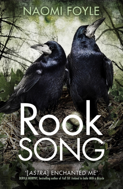 Rook Song : The Gaia Chronicles Book 2, EPUB eBook