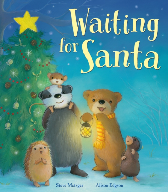 Waiting for Santa, Hardback Book