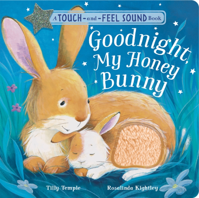 Goodnight My Honey Bunny, Novelty book Book