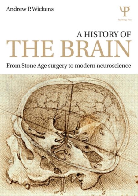 A History of the Brain : From Stone Age surgery to modern neuroscience, Paperback / softback Book