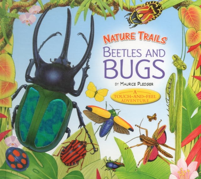 Nature Trails: Beetles and Bugs, Hardback Book