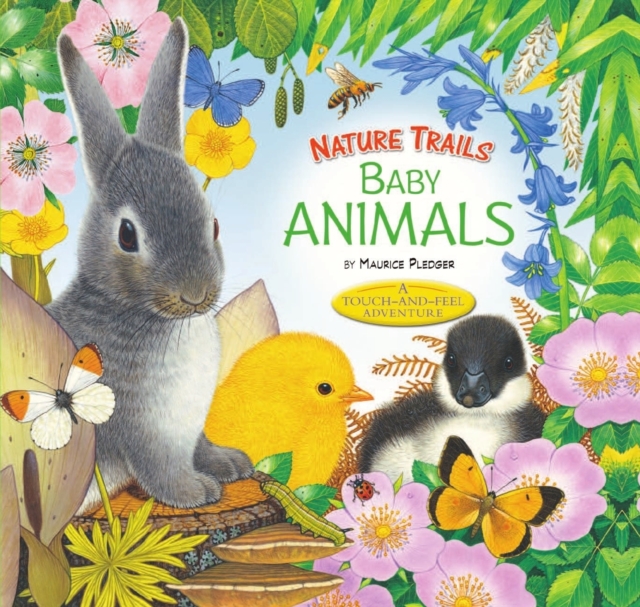 Nature Trails: Baby Animals, Hardback Book