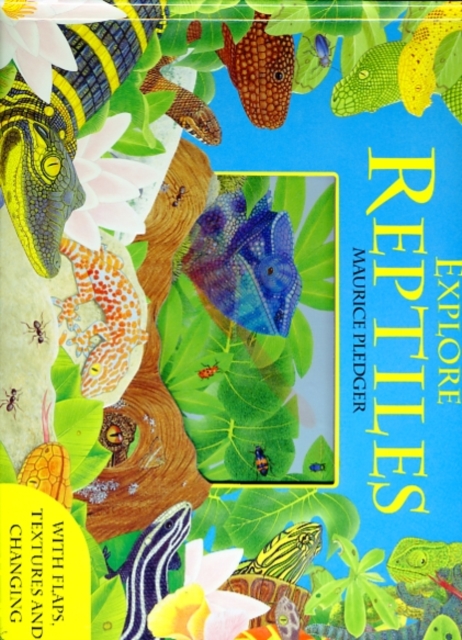 Explore Reptiles, Hardback Book