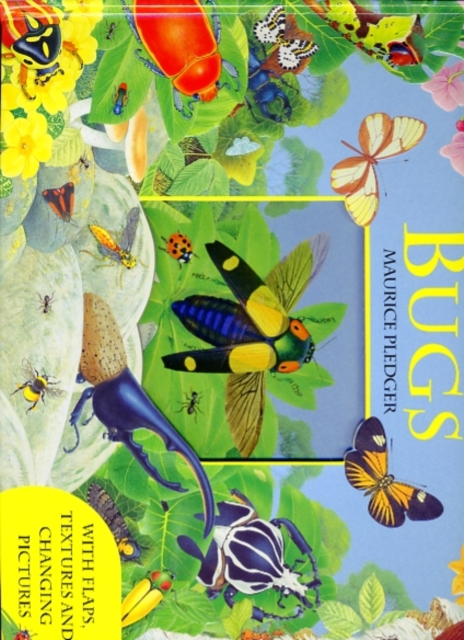 Explore Bugs, Hardback Book