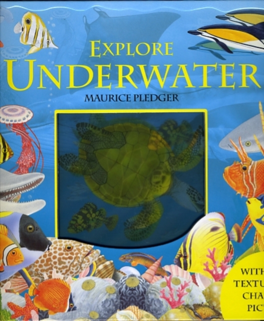 Explore Underwater, Hardback Book