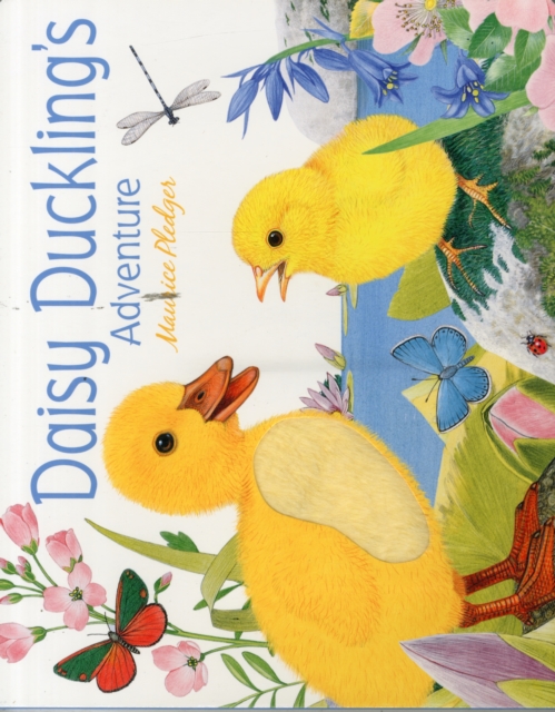 Daisy Duckling's Adventure, Hardback Book