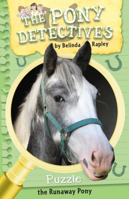 Puzzle: The Runaway Pony, Paperback / softback Book
