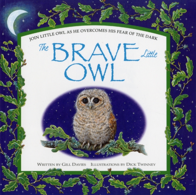 The Brave Little Owl, Paperback / softback Book