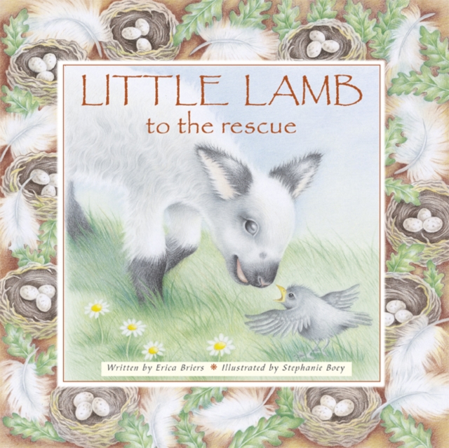 Little Lamb to the Rescue, Paperback / softback Book