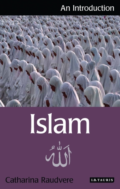 Islam : An Introduction, Paperback / softback Book