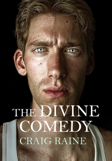 The Divine Comedy, Hardback Book
