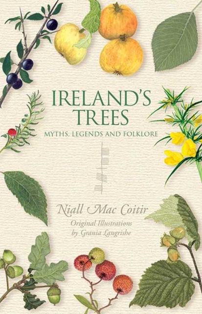 Ireland's Trees, Paperback / softback Book